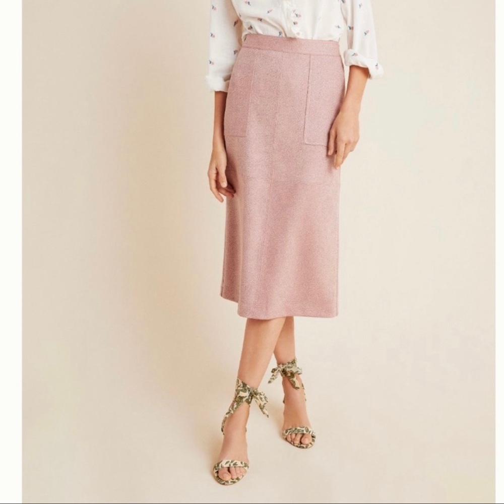 Anthropologie Pencil Skirt 4P